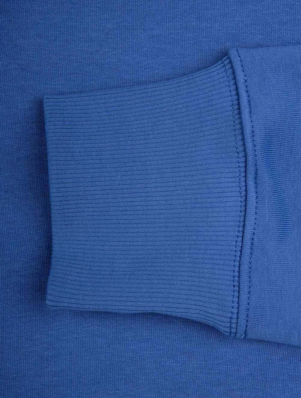 Regular Fit Shield Kapuzenpullover Reich Blau