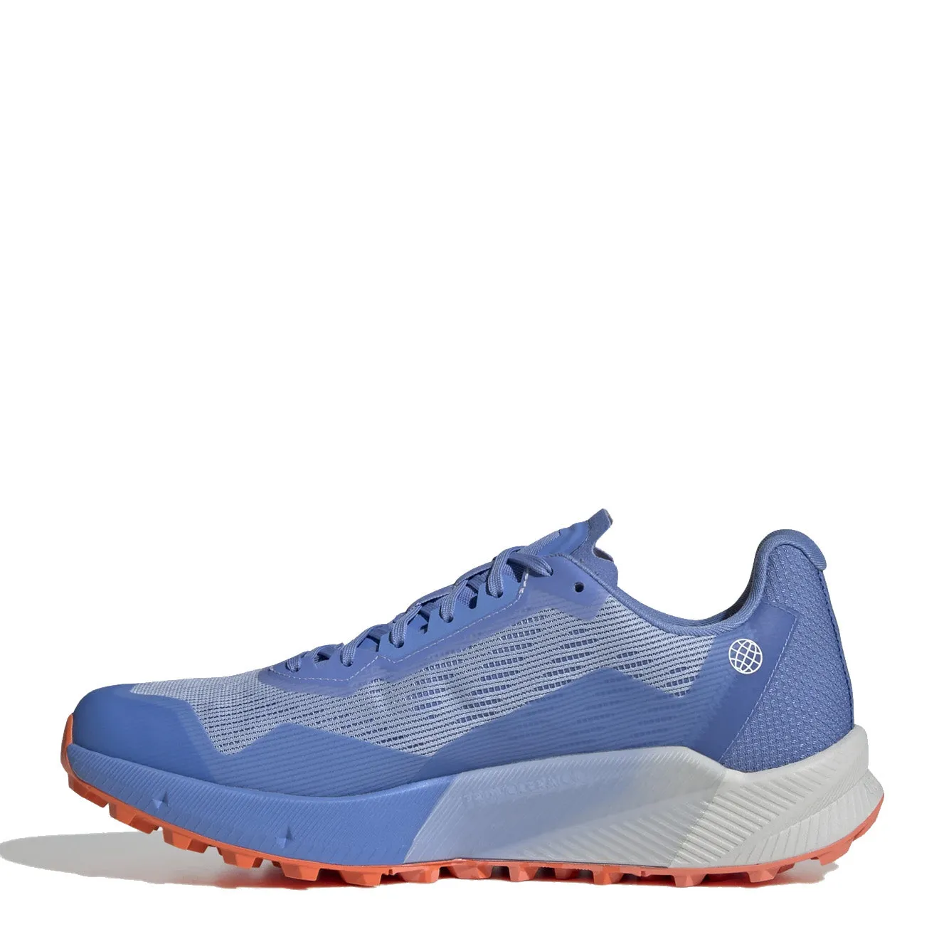 Schuhe Adidas Terrex Herren Adidas Terrex Agravic Flox 2 Gore-Tex Bludaw / Blufus / Impora