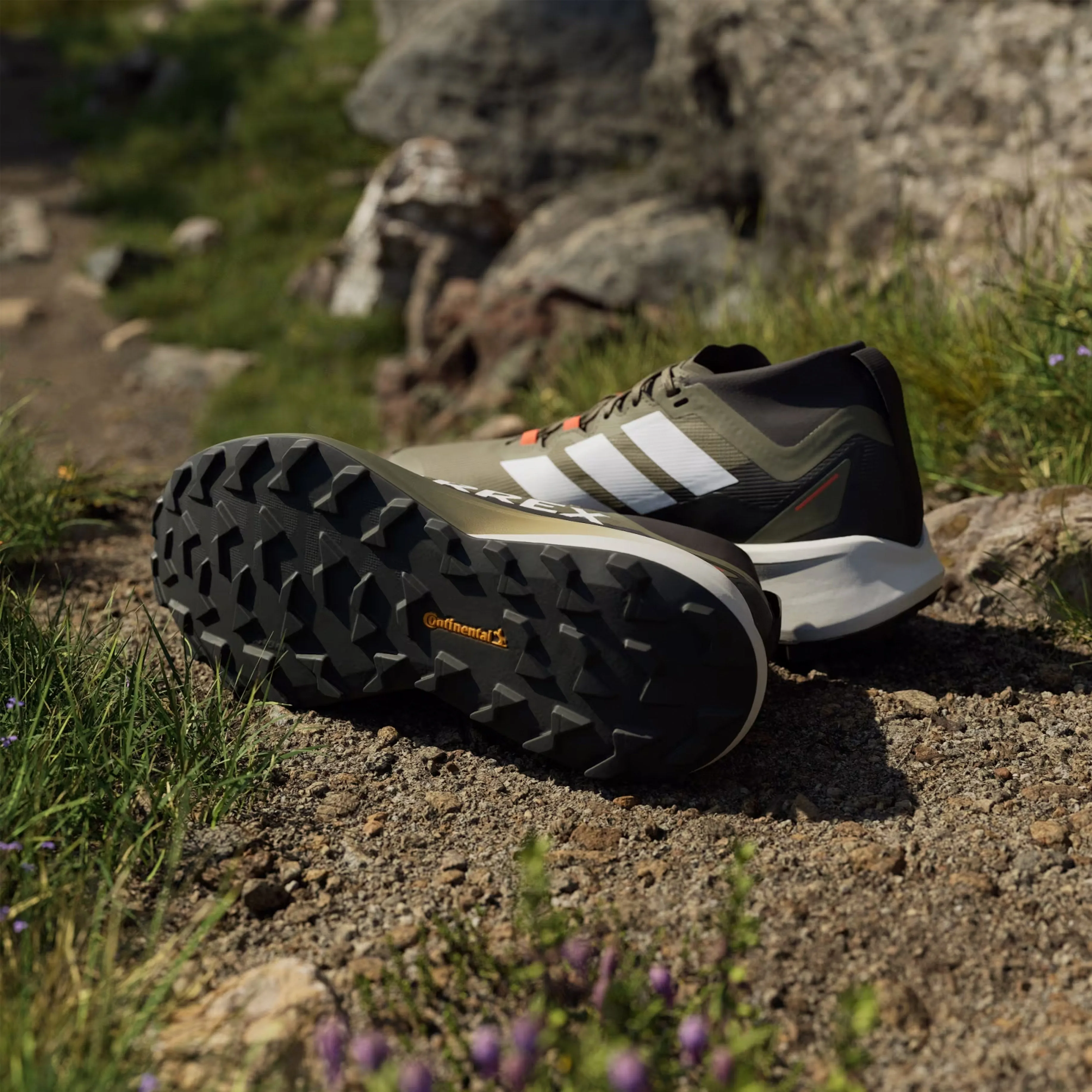Adidas Terrex Herren Trailrunning-Schuhe Agravic Schwarz / Grün